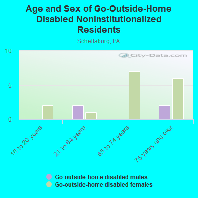 Age and Sex of Go-Outside-Home Disabled Noninstitutionalized Residents