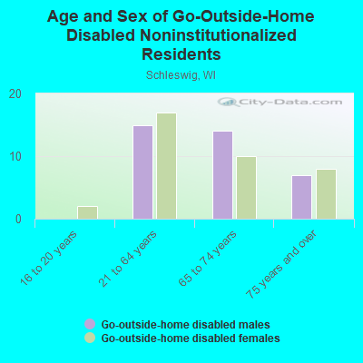 Age and Sex of Go-Outside-Home Disabled Noninstitutionalized Residents