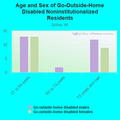 Age and Sex of Go-Outside-Home Disabled Noninstitutionalized Residents