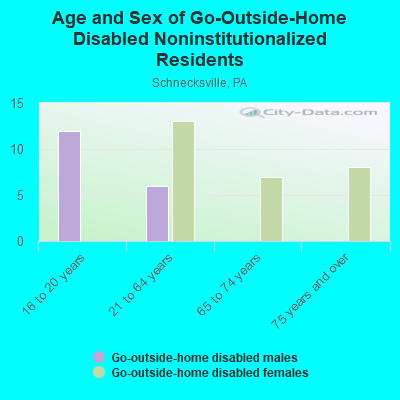 Age and Sex of Go-Outside-Home Disabled Noninstitutionalized Residents