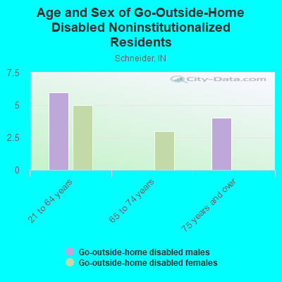 Age and Sex of Go-Outside-Home Disabled Noninstitutionalized Residents