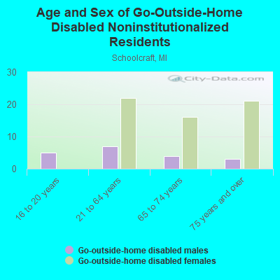 Age and Sex of Go-Outside-Home Disabled Noninstitutionalized Residents