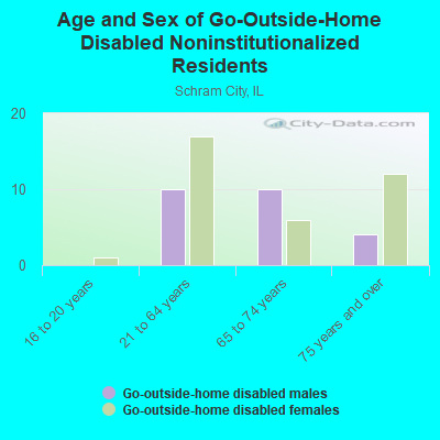 Age and Sex of Go-Outside-Home Disabled Noninstitutionalized Residents