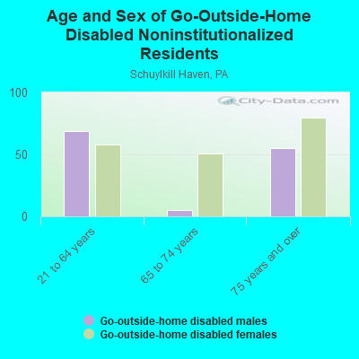 Age and Sex of Go-Outside-Home Disabled Noninstitutionalized Residents