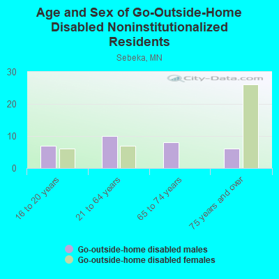 Age and Sex of Go-Outside-Home Disabled Noninstitutionalized Residents