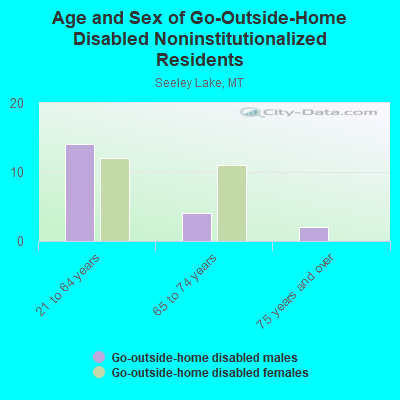 Age and Sex of Go-Outside-Home Disabled Noninstitutionalized Residents