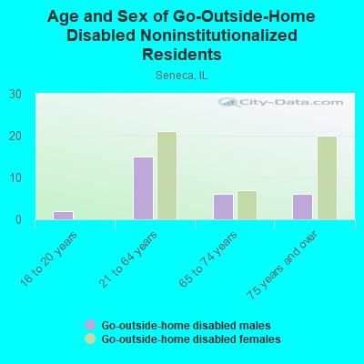 Age and Sex of Go-Outside-Home Disabled Noninstitutionalized Residents