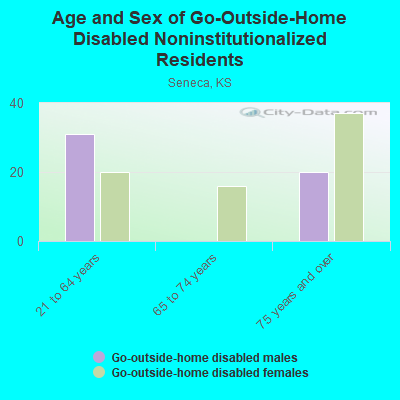 Age and Sex of Go-Outside-Home Disabled Noninstitutionalized Residents