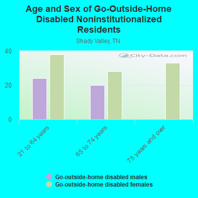 Age and Sex of Go-Outside-Home Disabled Noninstitutionalized Residents