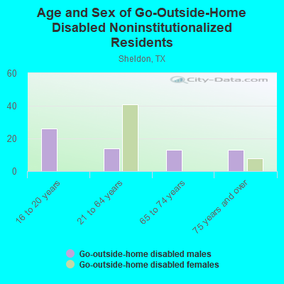 Age and Sex of Go-Outside-Home Disabled Noninstitutionalized Residents