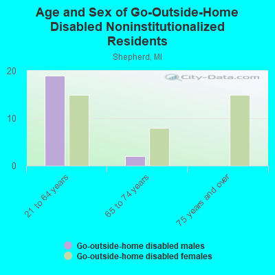 Age and Sex of Go-Outside-Home Disabled Noninstitutionalized Residents