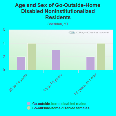 Age and Sex of Go-Outside-Home Disabled Noninstitutionalized Residents