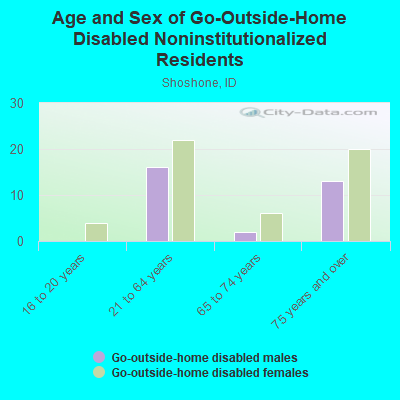 Age and Sex of Go-Outside-Home Disabled Noninstitutionalized Residents