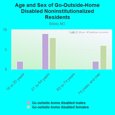 Age and Sex of Go-Outside-Home Disabled Noninstitutionalized Residents