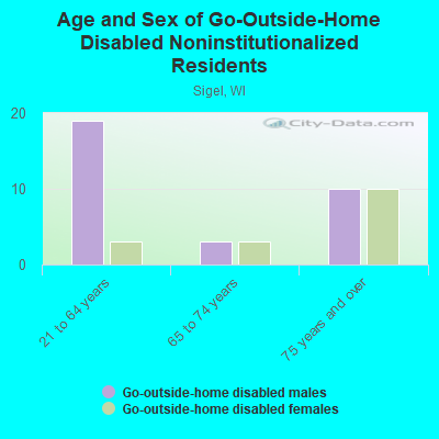 Age and Sex of Go-Outside-Home Disabled Noninstitutionalized Residents