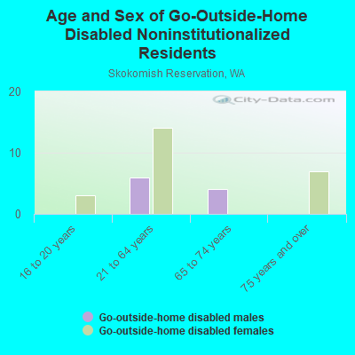 Age and Sex of Go-Outside-Home Disabled Noninstitutionalized Residents