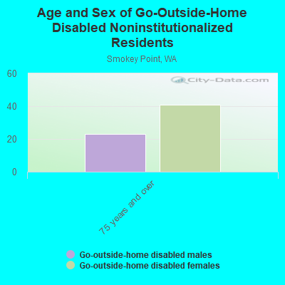 Age and Sex of Go-Outside-Home Disabled Noninstitutionalized Residents