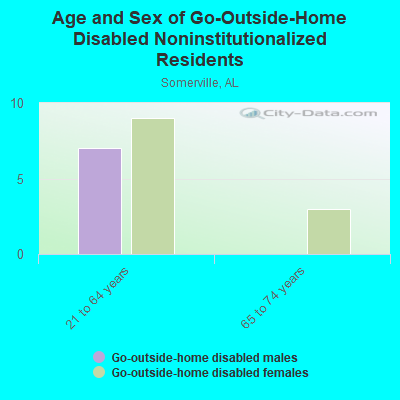 Age and Sex of Go-Outside-Home Disabled Noninstitutionalized Residents