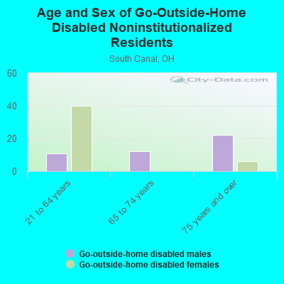 Age and Sex of Go-Outside-Home Disabled Noninstitutionalized Residents