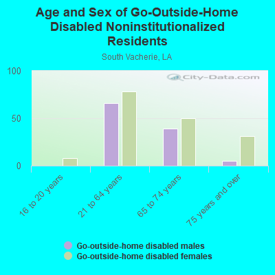 Age and Sex of Go-Outside-Home Disabled Noninstitutionalized Residents