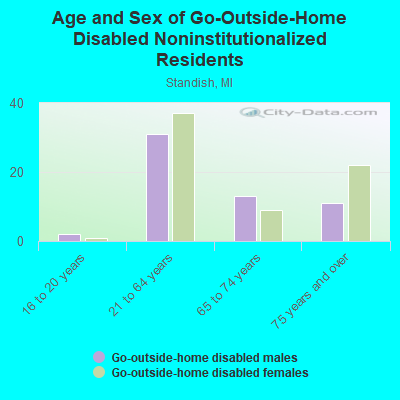 Age and Sex of Go-Outside-Home Disabled Noninstitutionalized Residents