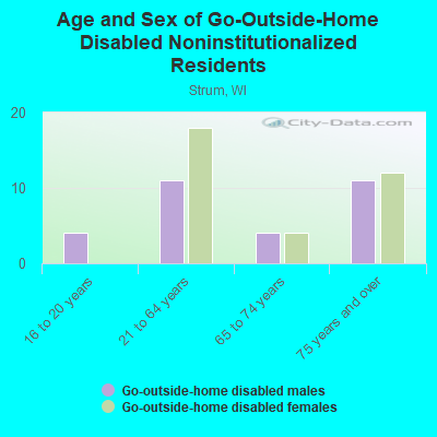 Age and Sex of Go-Outside-Home Disabled Noninstitutionalized Residents