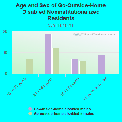 Age and Sex of Go-Outside-Home Disabled Noninstitutionalized Residents