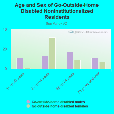 Age and Sex of Go-Outside-Home Disabled Noninstitutionalized Residents