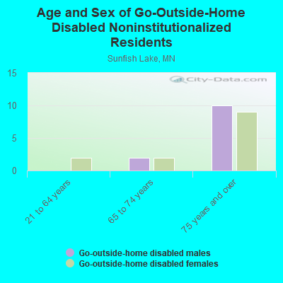 Age and Sex of Go-Outside-Home Disabled Noninstitutionalized Residents