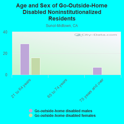 Age and Sex of Go-Outside-Home Disabled Noninstitutionalized Residents