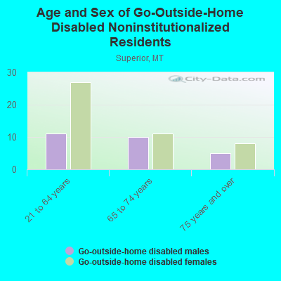 Age and Sex of Go-Outside-Home Disabled Noninstitutionalized Residents