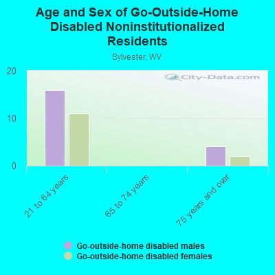 Age and Sex of Go-Outside-Home Disabled Noninstitutionalized Residents