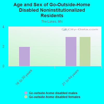 Age and Sex of Go-Outside-Home Disabled Noninstitutionalized Residents