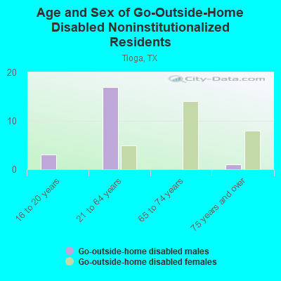 Age and Sex of Go-Outside-Home Disabled Noninstitutionalized Residents