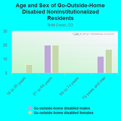 Age and Sex of Go-Outside-Home Disabled Noninstitutionalized Residents