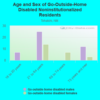 Age and Sex of Go-Outside-Home Disabled Noninstitutionalized Residents