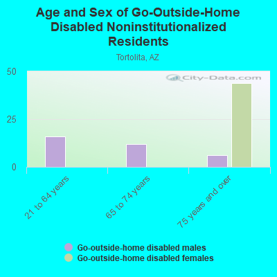 Age and Sex of Go-Outside-Home Disabled Noninstitutionalized Residents