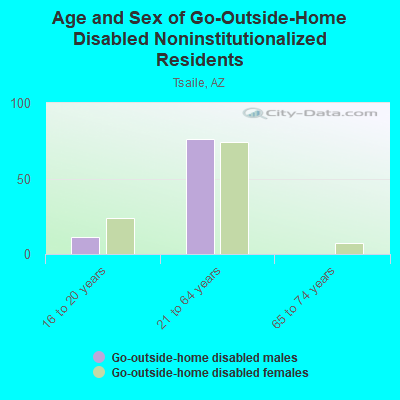 Age and Sex of Go-Outside-Home Disabled Noninstitutionalized Residents