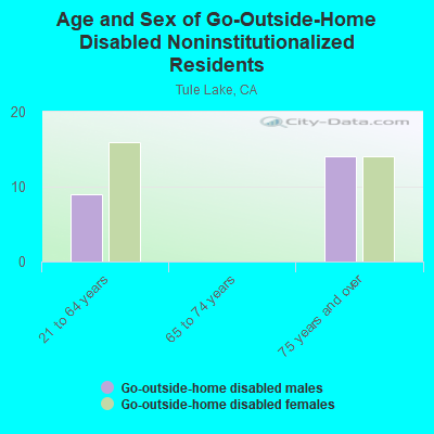 Age and Sex of Go-Outside-Home Disabled Noninstitutionalized Residents