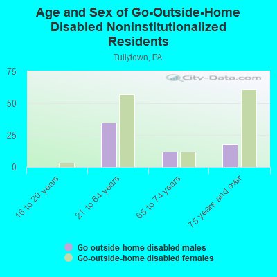 Age and Sex of Go-Outside-Home Disabled Noninstitutionalized Residents