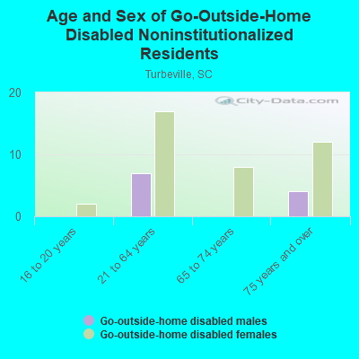 Age and Sex of Go-Outside-Home Disabled Noninstitutionalized Residents