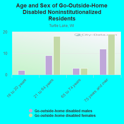 Age and Sex of Go-Outside-Home Disabled Noninstitutionalized Residents