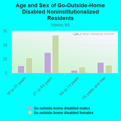 Age and Sex of Go-Outside-Home Disabled Noninstitutionalized Residents