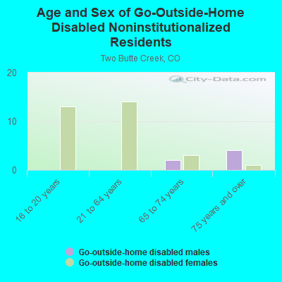 Age and Sex of Go-Outside-Home Disabled Noninstitutionalized Residents