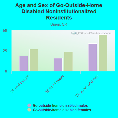 Age and Sex of Go-Outside-Home Disabled Noninstitutionalized Residents