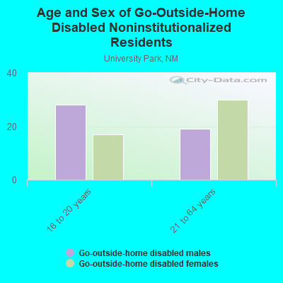 Age and Sex of Go-Outside-Home Disabled Noninstitutionalized Residents