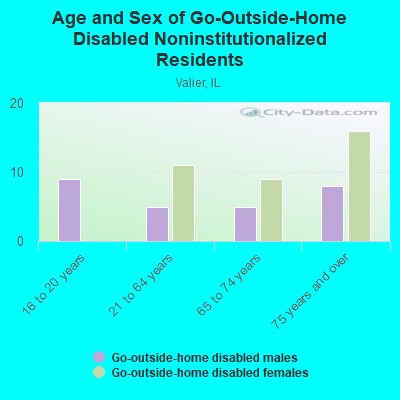 Age and Sex of Go-Outside-Home Disabled Noninstitutionalized Residents