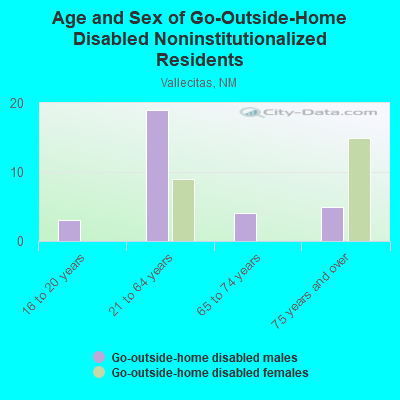 Age and Sex of Go-Outside-Home Disabled Noninstitutionalized Residents