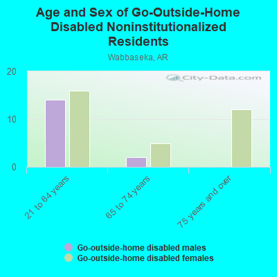 Age and Sex of Go-Outside-Home Disabled Noninstitutionalized Residents