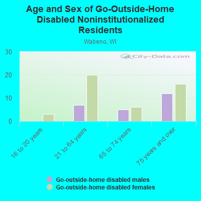 Age and Sex of Go-Outside-Home Disabled Noninstitutionalized Residents